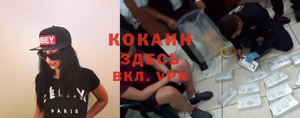 крисы Магас