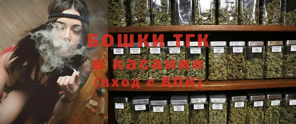 стаф Мегион