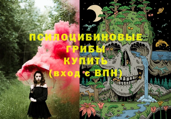 стаф Мегион