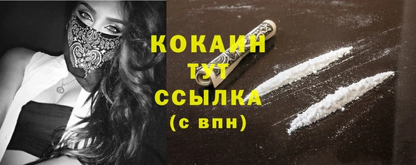 стаф Мегион