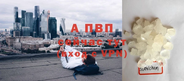 прущие крисы Медвежьегорск
