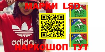 крисы Аргун