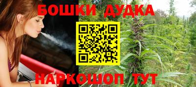 эйфоретик Кингисепп
