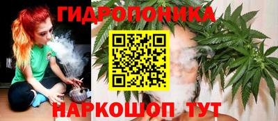 эйфоретик Кингисепп