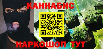 стаф Кимры