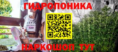 стаф Кимры