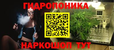 эйфоретик Кингисепп