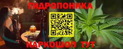 эйфоретик Кингисепп