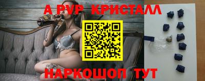 эйфоретик Кингисепп