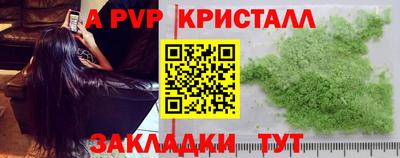 эйфоретик Кингисепп