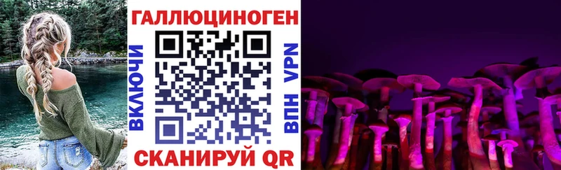 KRAKEN как зайти Сосновоборск Галлюциногенные грибы Psilocybe наркошоп